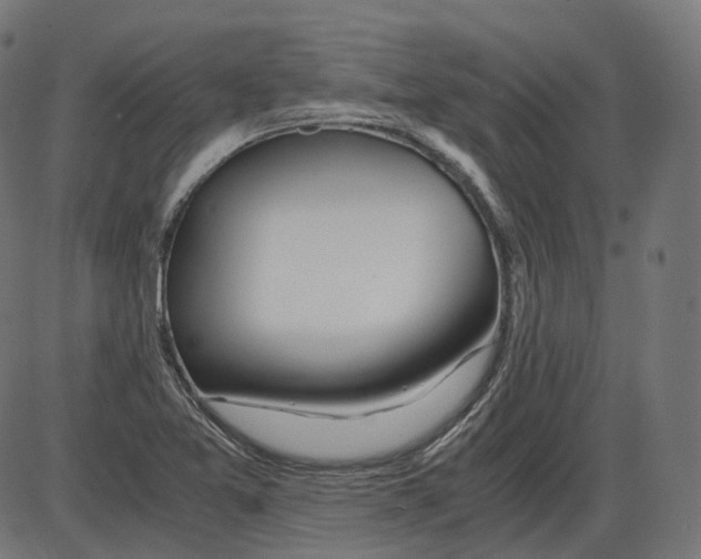 X0000084031365200703161755