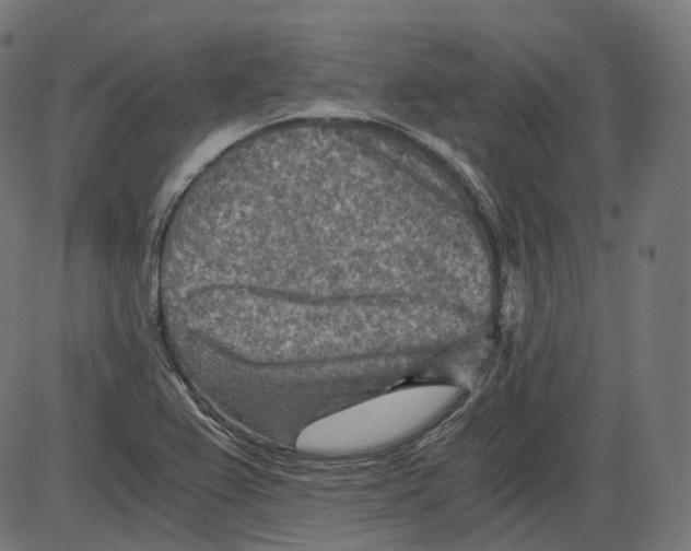 X0000084031367200703161755