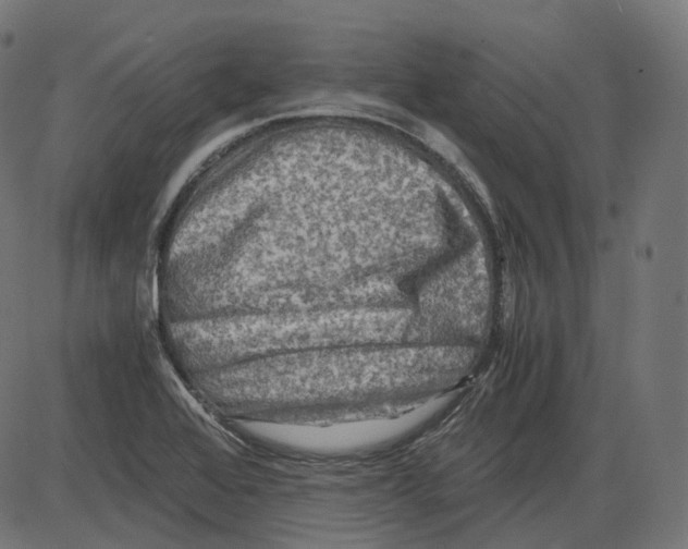 X0000084031368200703161755