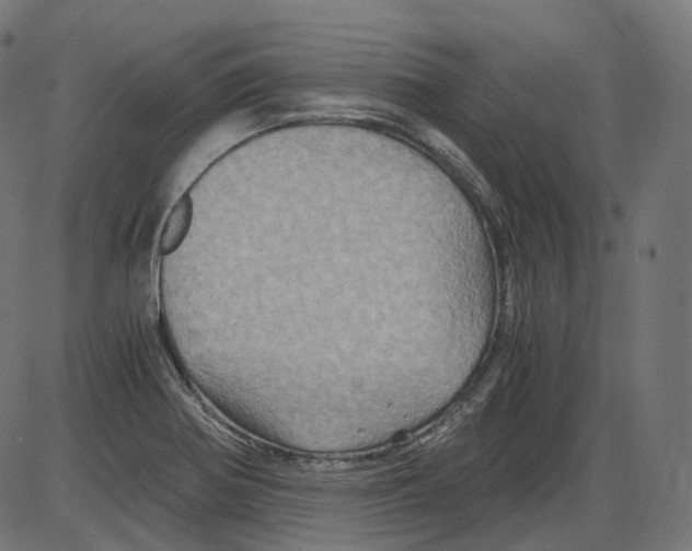 X0000084031370200703161755