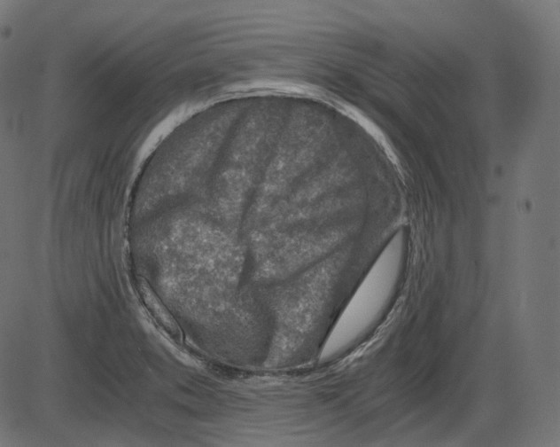 X0000084031373200703161754