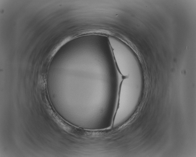 X0000084031377200703161754