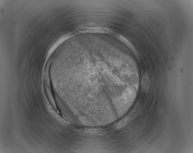 X0000084031378200703161754