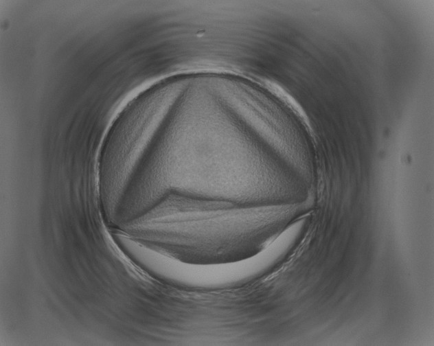 X0000084031380200703161754