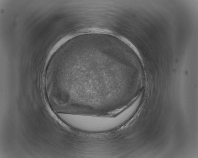 X0000084031381200703161754