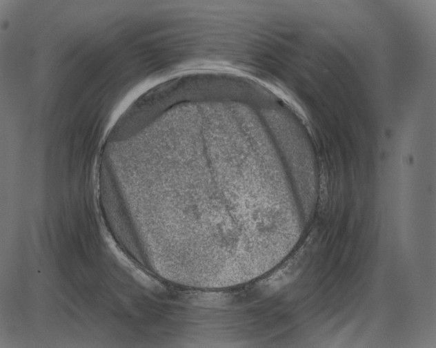 X0000084031382200703161754