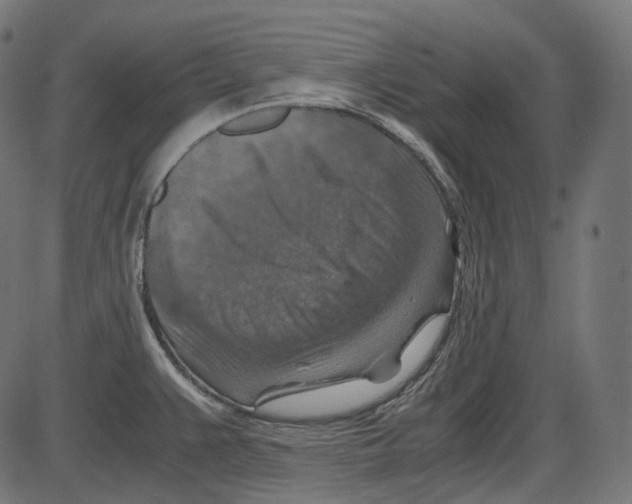 X0000084031383200703161754