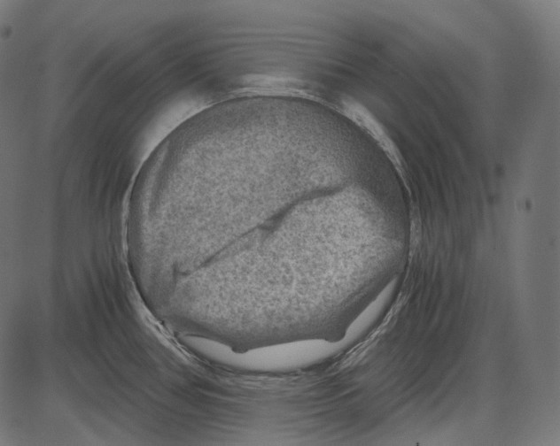 X0000084031386200703161754