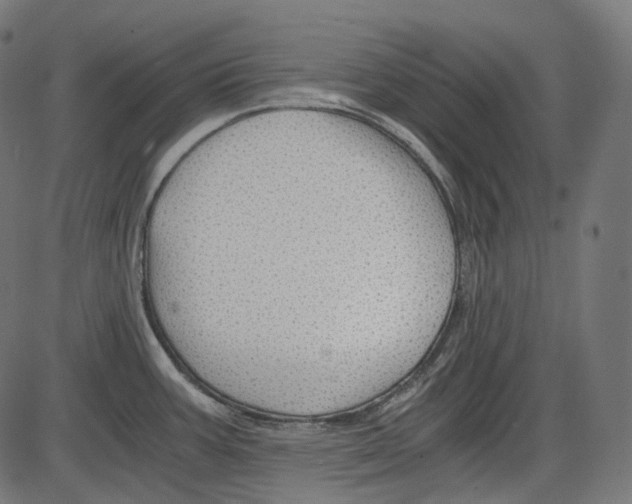 X0000084031387200703161754