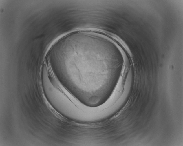 X0000084031388200703161754