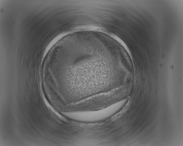 X0000084031389200703161754