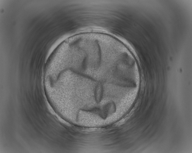 X0000084031390200703161754