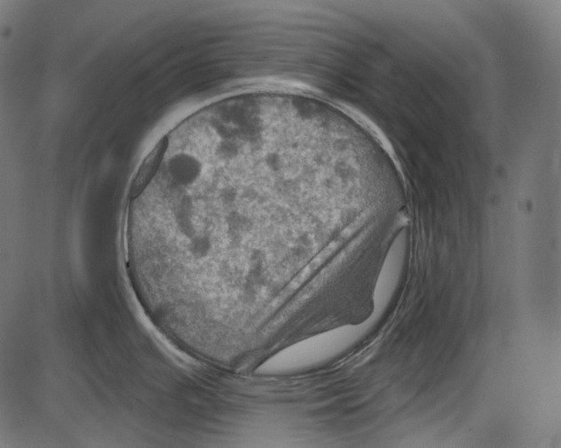 X0000084031391200703161754