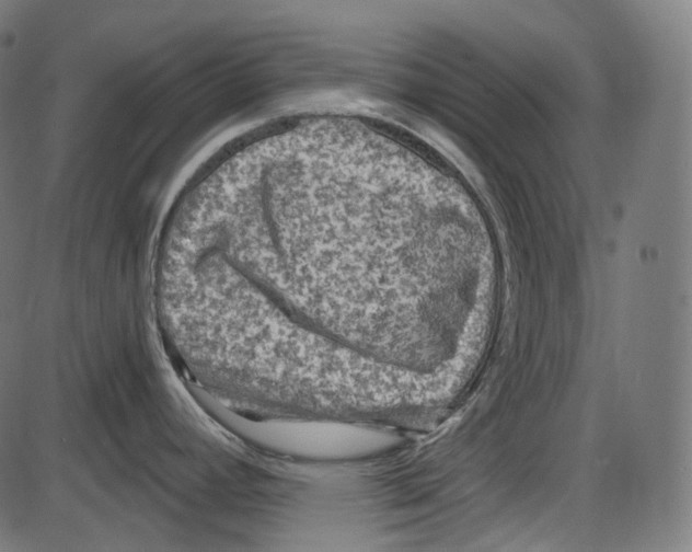 X0000084031392200703161754