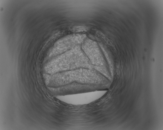 X0000084031393200703161753