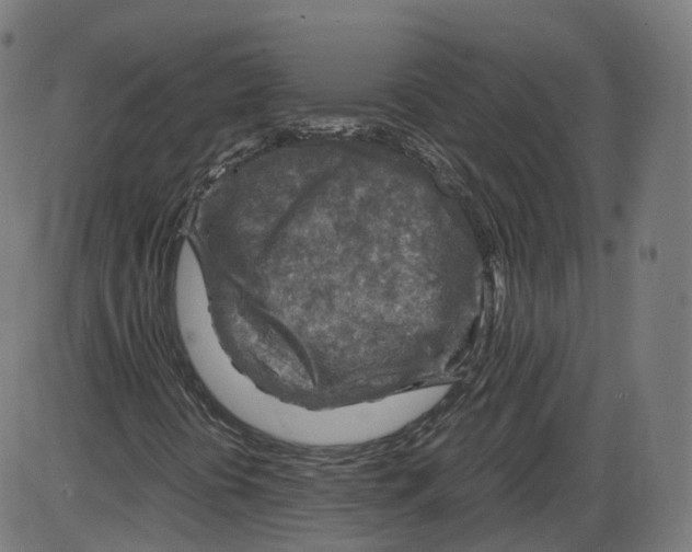 X0000084031394200703161753