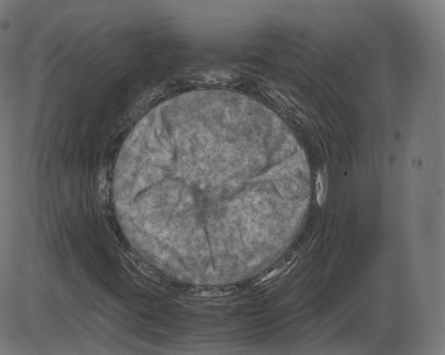 X0000084031395200703161753