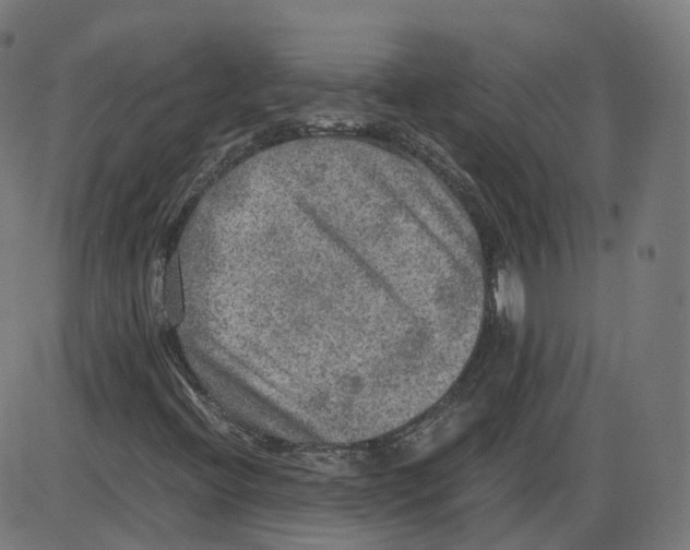 X0000084031396200703161753