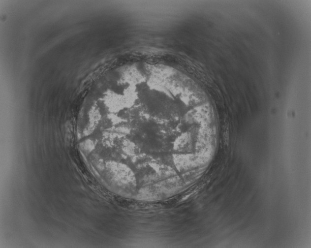 X0000084031397200703161753