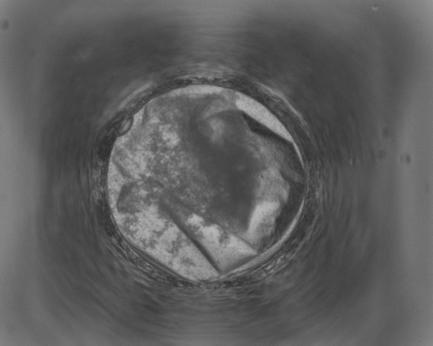 X0000084031399200703161753