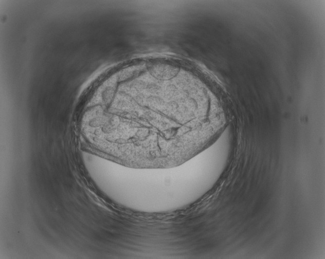 X0000084031400200703161753