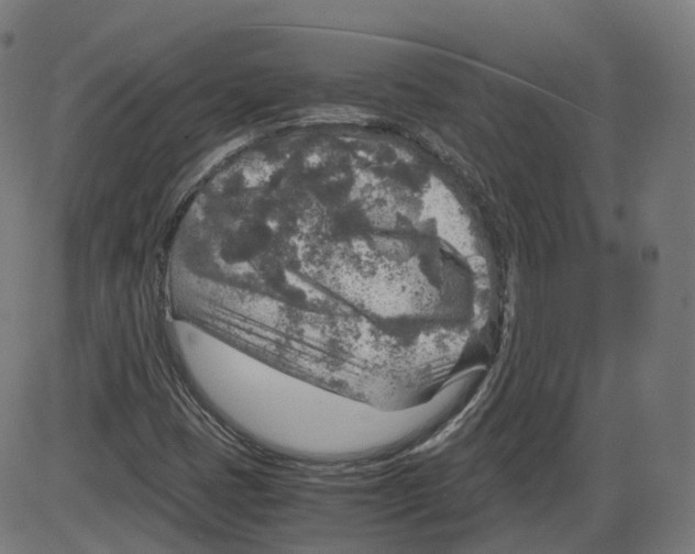 X0000084031401200703161753