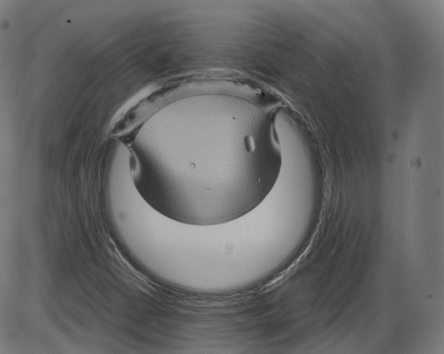 X0000084031402200703161754