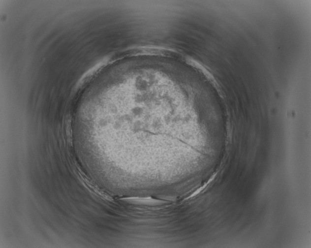 X0000084031403200703161754