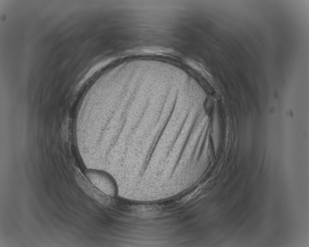 X0000084031404200703161754