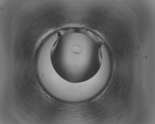 X0000084031406200703161754