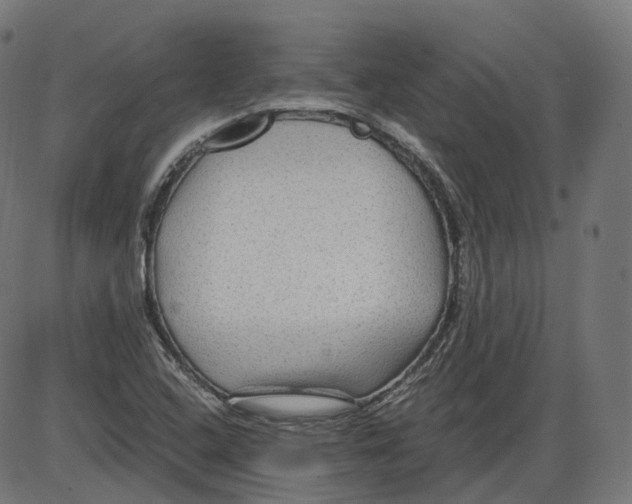 X0000084031408200703161754