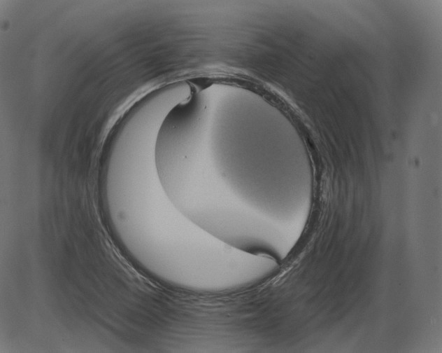 X0000084031410200703161754