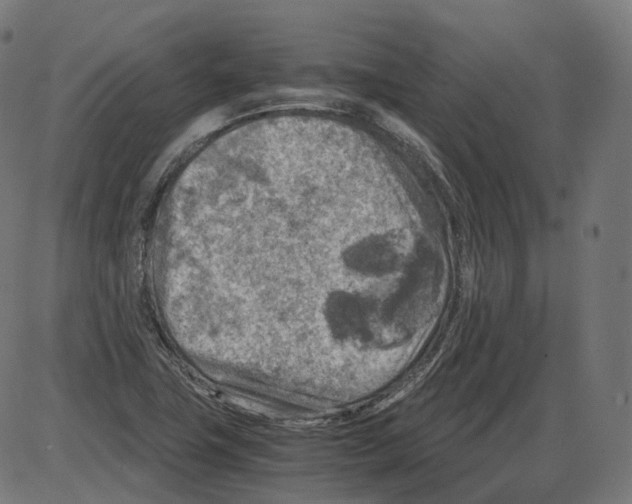 X0000084031411200703161754