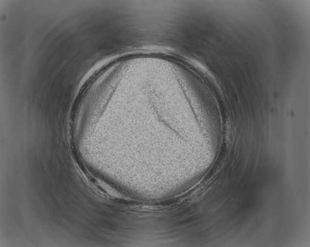 X0000084031412200703161754