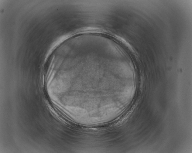 X0000084031413200703161754