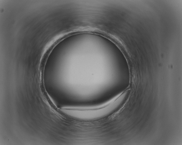 X0000084031414200703161754