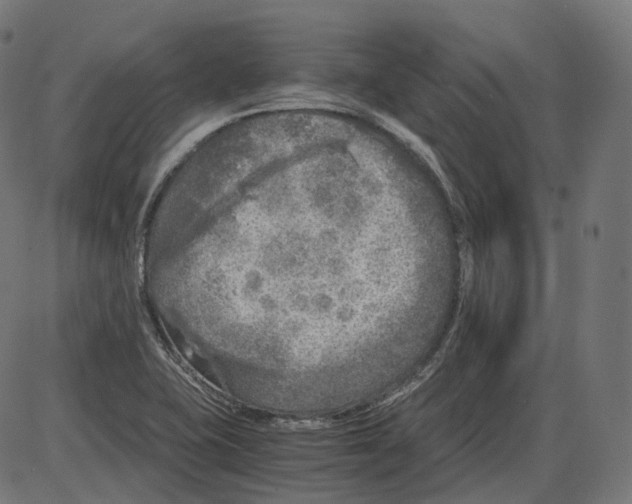 X0000084031415200703161754