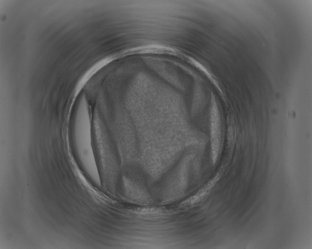 X0000084031418200703161754