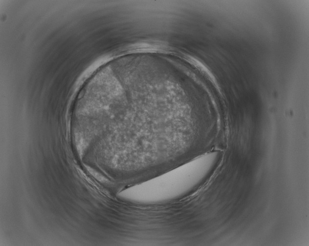 X0000084031419200703161754