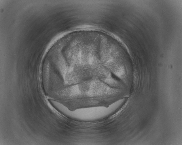 X0000084031421200703161754