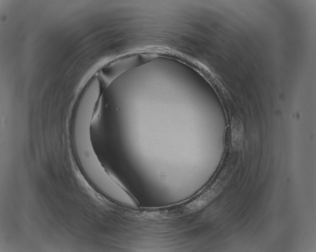 X0000084031422200703161754