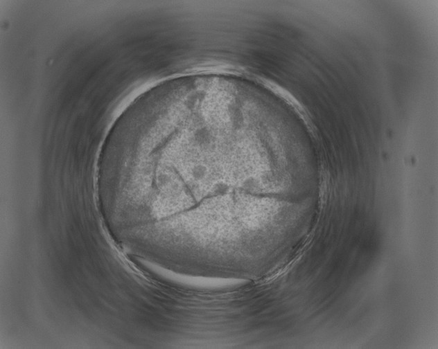 X0000084031423200703161754