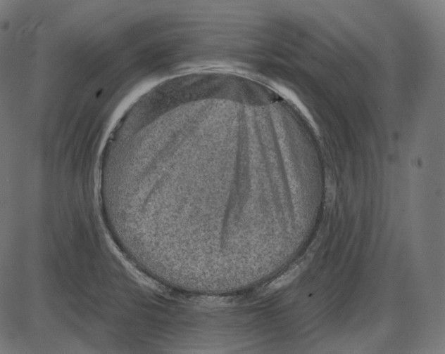 X0000084031424200703161754