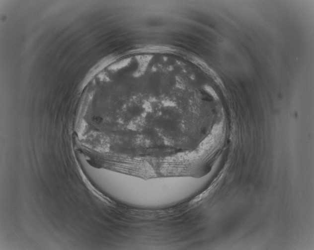 X0000084031425200703161754