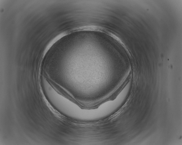 X0000084031426200703161754