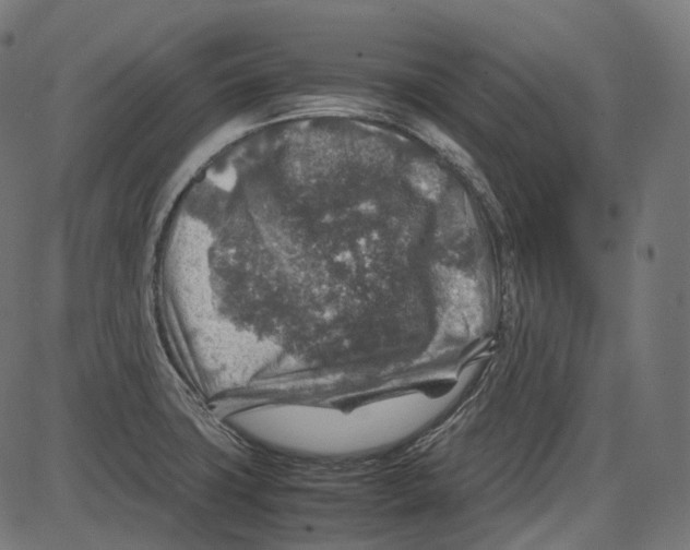 X0000084031427200703161754