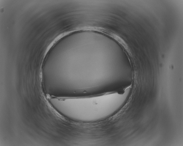 X0000084031428200703161754