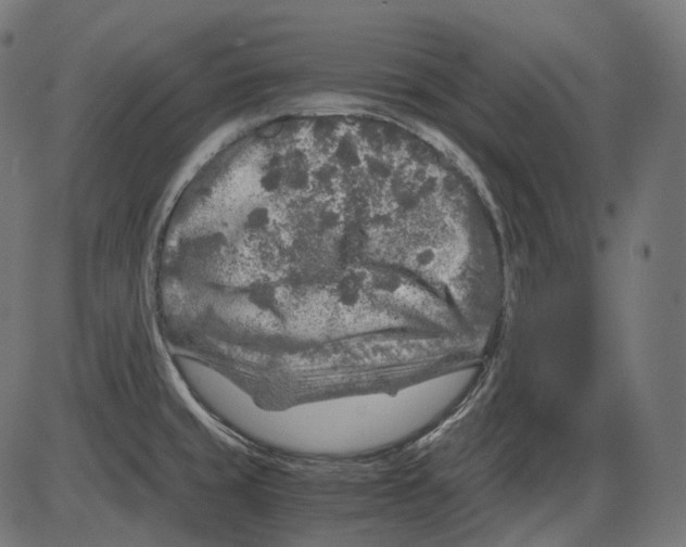 X0000084031429200703161754