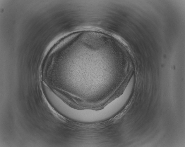 X0000084031430200703161754