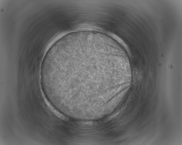 X0000084031431200703161754